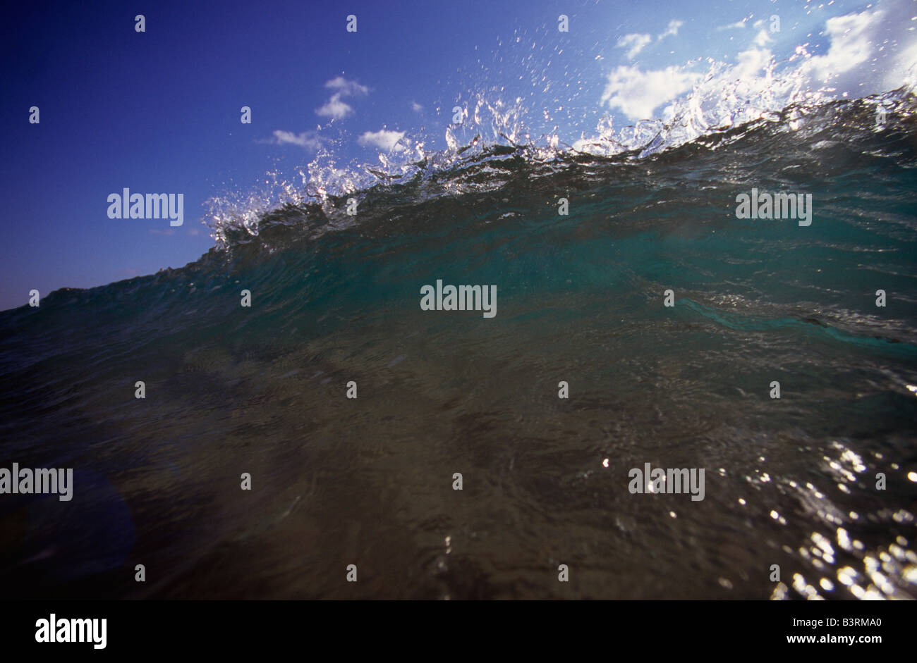 Gros plan d'une vague de shore break à Palm Beach en Floride Banque D'Images