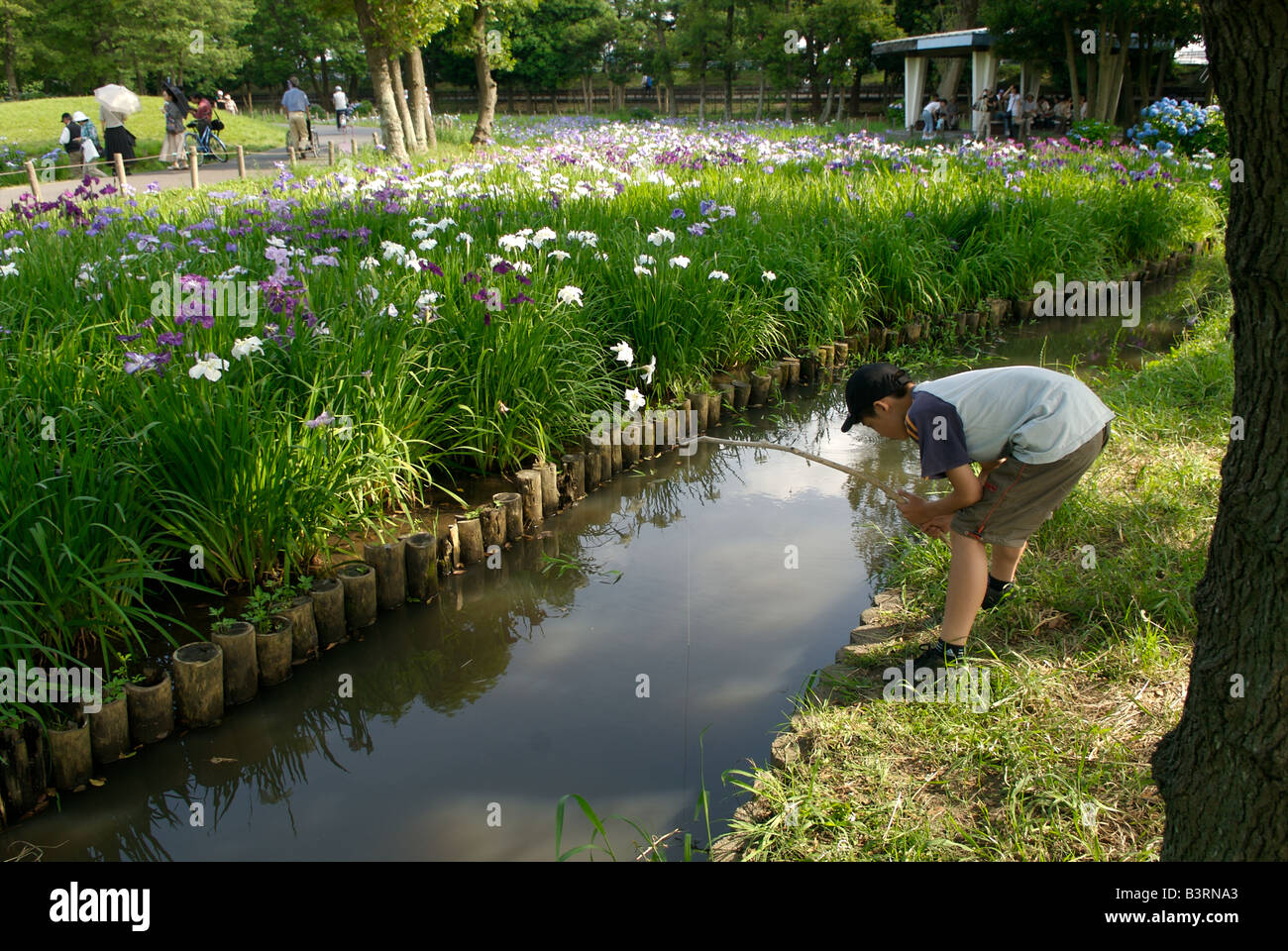 Garçon de pêche dans un petit ruisseau - Tokyo, Japon Banque D'Images