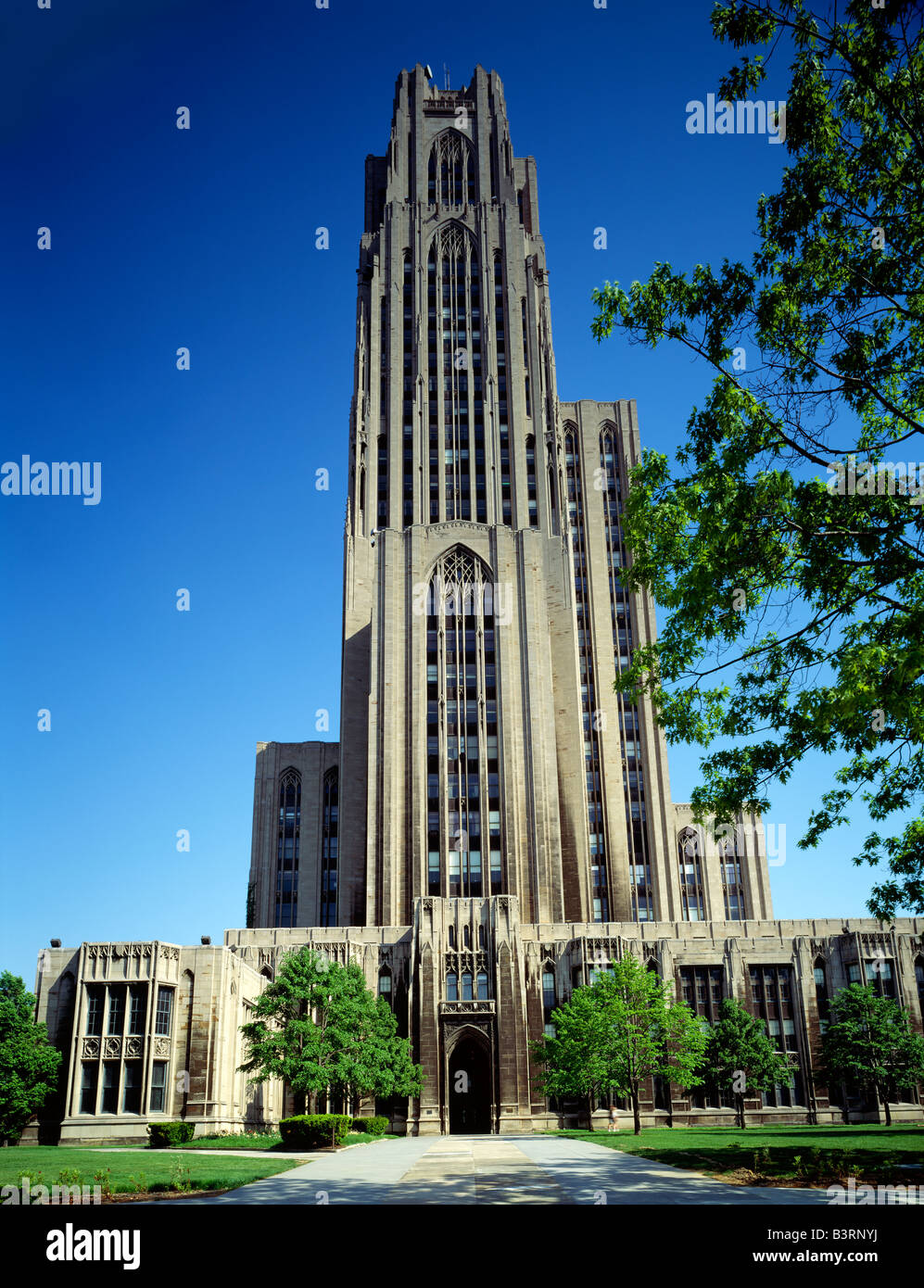 Université de Pittsburgh ; Cathedral of Learning, Pittsburgh, Pennsylvanie, USA Banque D'Images