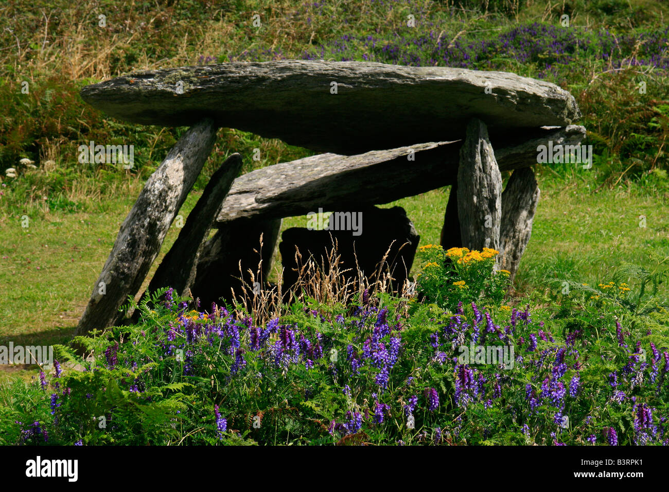 Autel Dolmen et fleurs sauvages près de Schull, comté de Cork, Irlande Banque D'Images