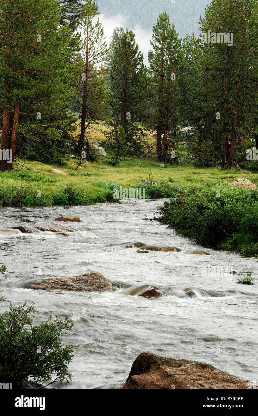 USA Californie Yosemite National Park Lac Rivière Tuolumne Banque D'Images