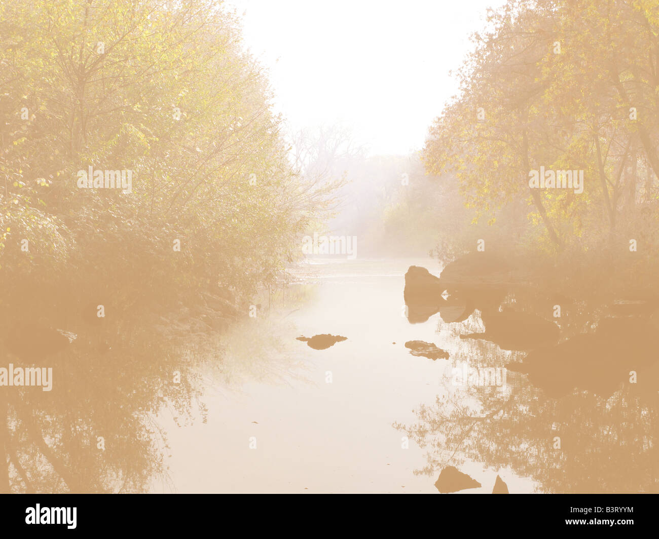 Creek à l'automne. Banque D'Images