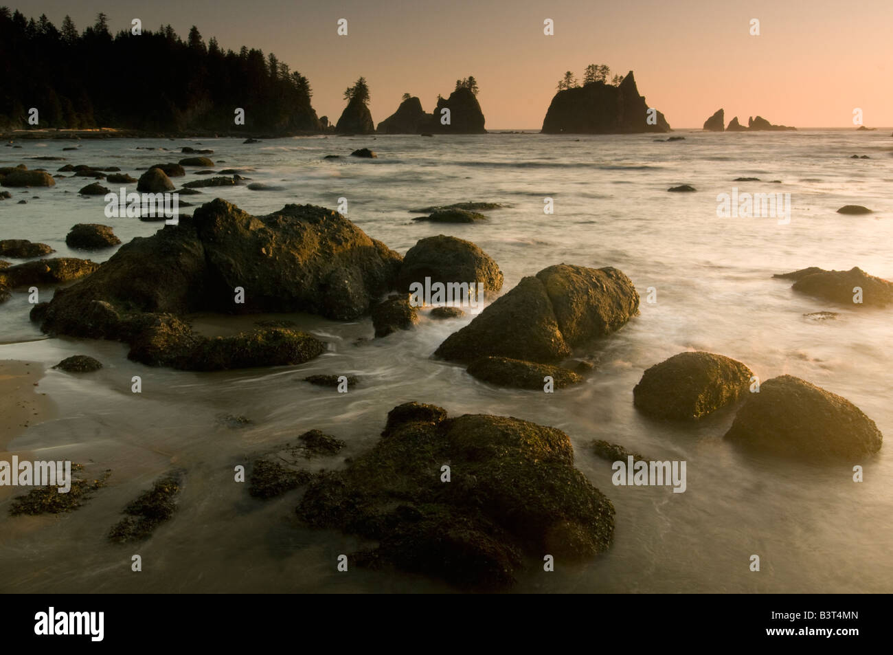 Olympic National Park, Washington, Shi Shi Beach, Seastacks Point à proximité d'Arches au coucher du soleil Banque D'Images