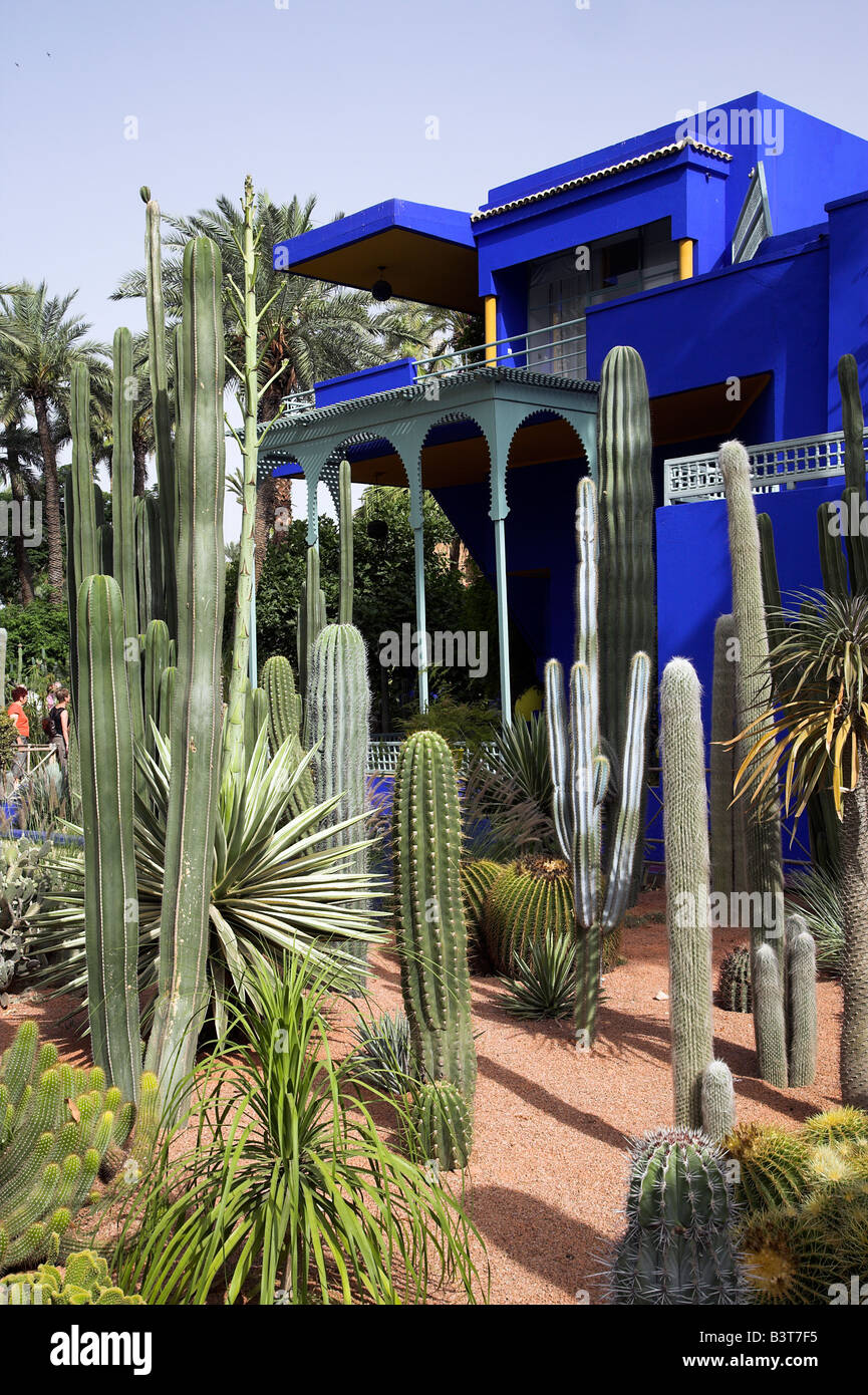 Maroc, Tanger. La sous-tropical Jardin Majorelle dans la ville nouvelle de Marrakech. Conçu par le peintre français Jacques Majorelle qui a vécu ici de 1922 à 1962, il est maintenant administré par le créateur de mode Yves Saint-Laurent. Le central bleu bâtiment abrite également le Musée d'Art Islamique Banque D'Images