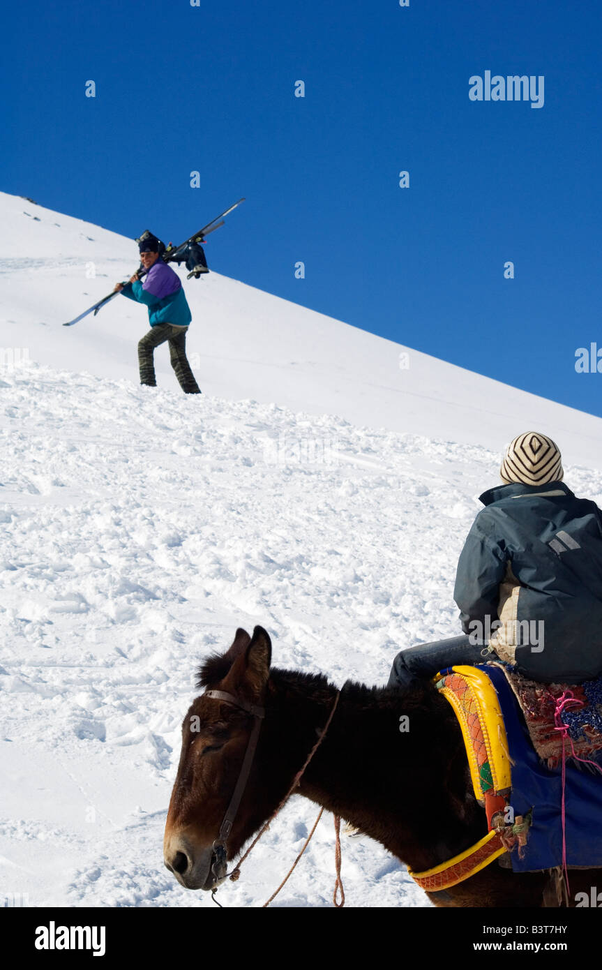 Le Maroc, l'Oukaimeden. Haut Atlas Oukaimeden station de ski Enfant sur Donkey Banque D'Images