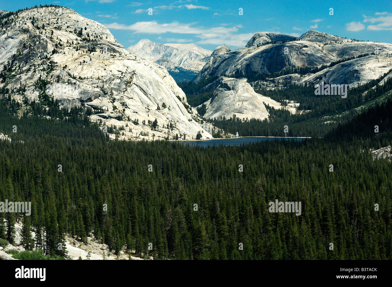 USA Californie Yosemite National Park Tioga Pass Banque D'Images