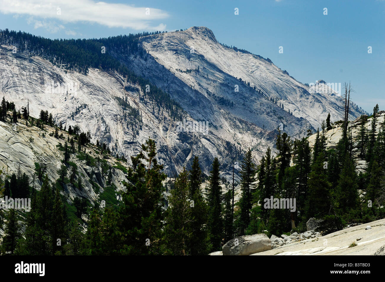 USA Californie Yosemite National Park Tioga Pass Banque D'Images