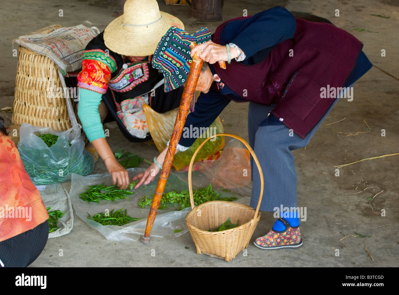 L'Asie, Chine, Province du Yunnan, Yuanyang. Vieille Femme avec les pieds liés à des boutiques d'herbes fraîches à Xinjie marché (vieux Yuanyang). Banque D'Images