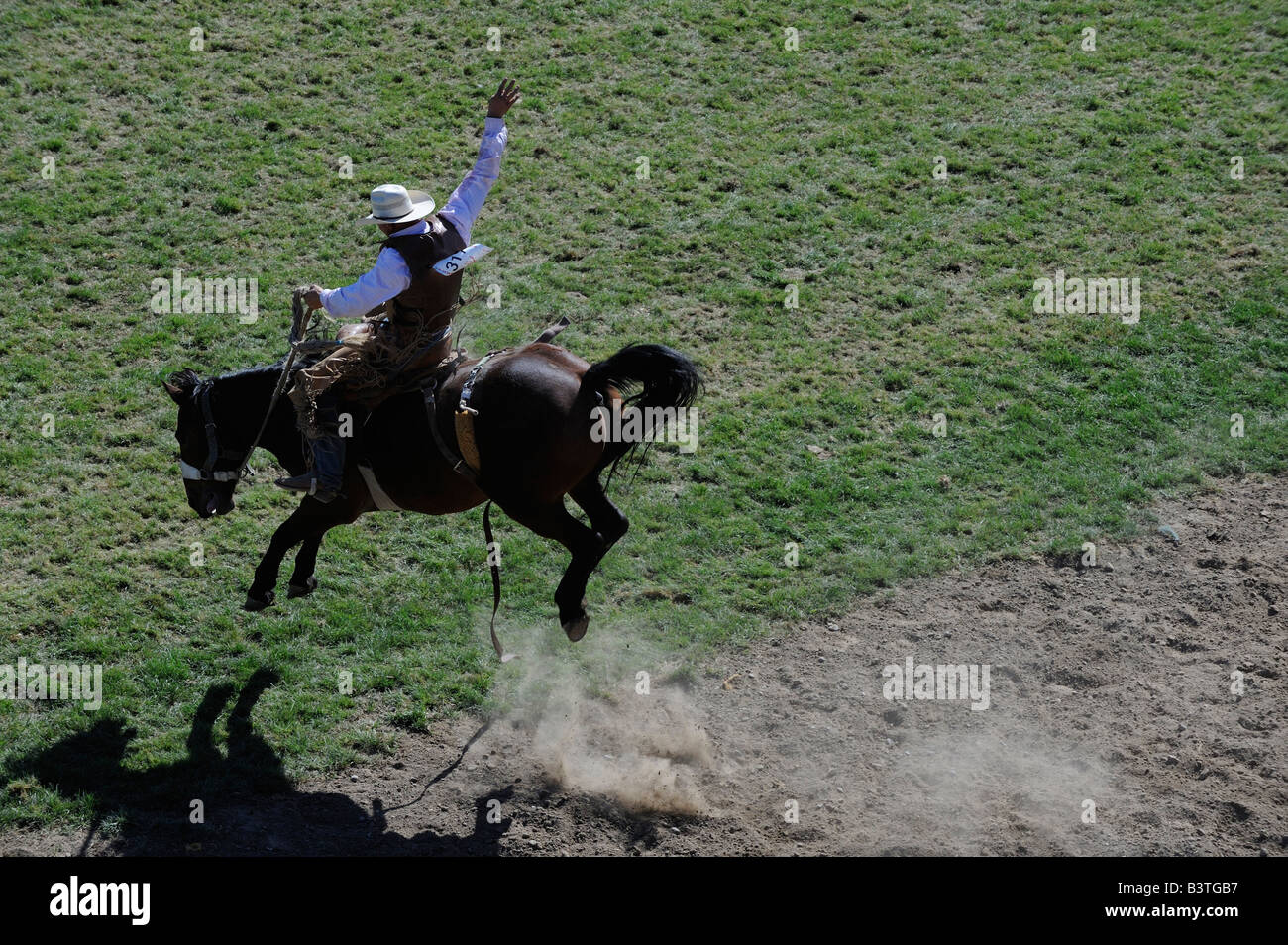 American Cowboy professionnel équitation selle tronçonnage bronco dans l'air wild ride cheval blanc caucasien wiley difficiles Banque D'Images