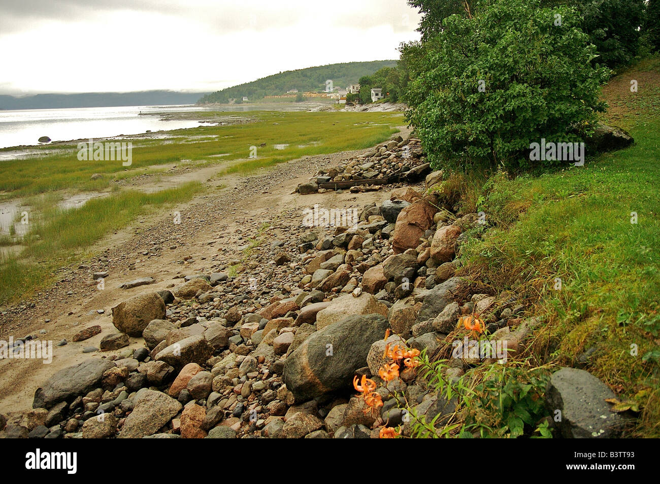 Amérique du Nord, Canada, Québec, Saguenay, Ville de Saguenay, La Baie. Tôt le matin, sur une plage près d'une fleur de pierre Banque D'Images