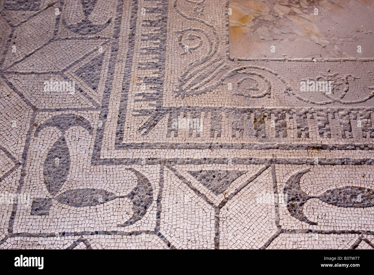 L'Europe, Italie, Campanie, Herculanum. Sol de Mosaïque découverte de ruines excavées dessins. Banque D'Images