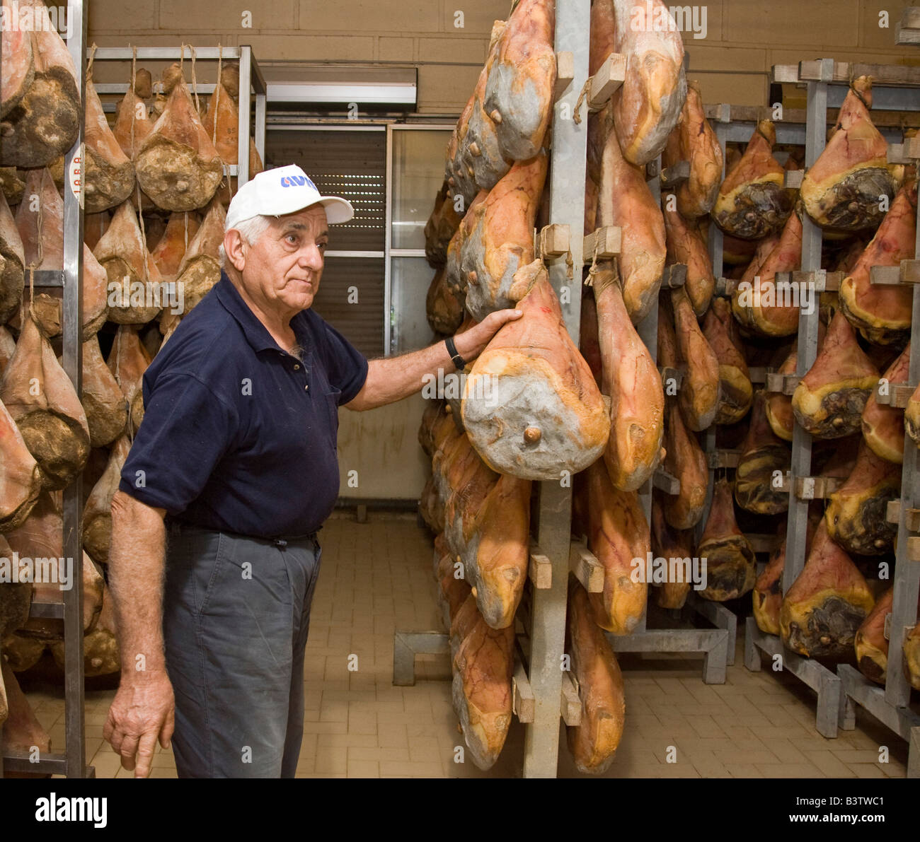 L'Europe, Italie, Parme. Farmer explique le processus de guérison jambons de Parme. Banque D'Images