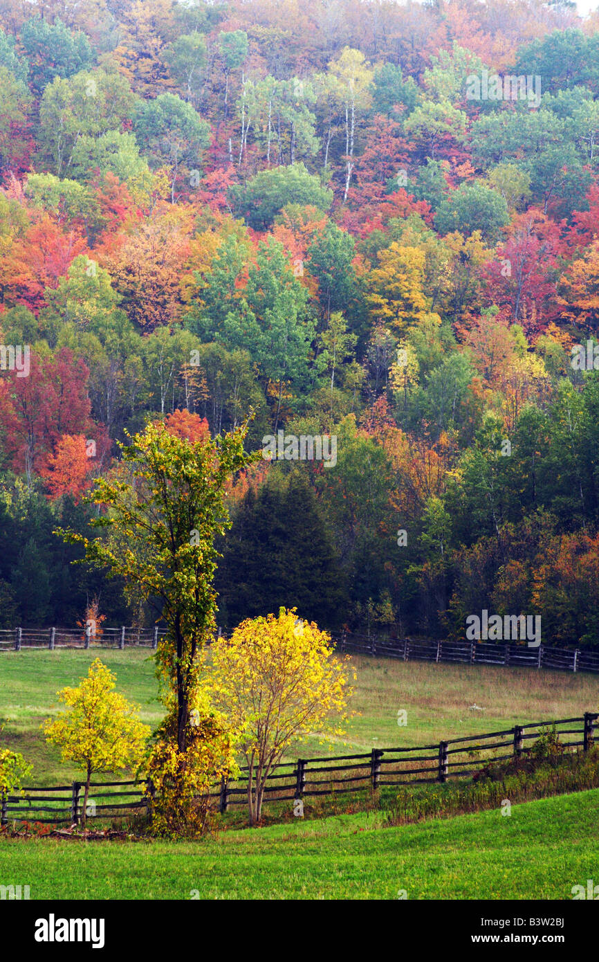 Couleurs de l'automne brillant en Ontario Ranch Banque D'Images