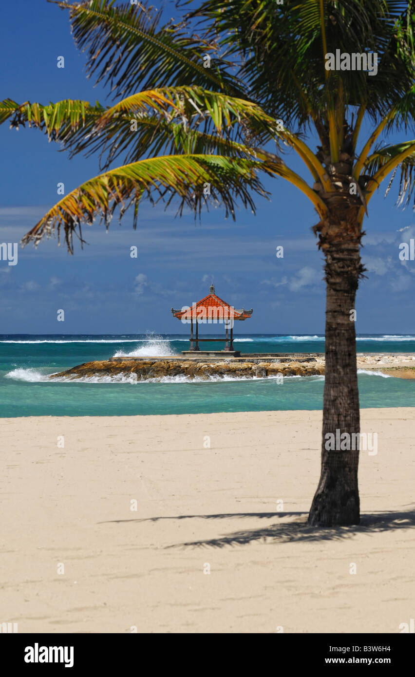 Gazebo Palm et à l'ocean shore, l'accent mis sur le belvédère Banque D'Images