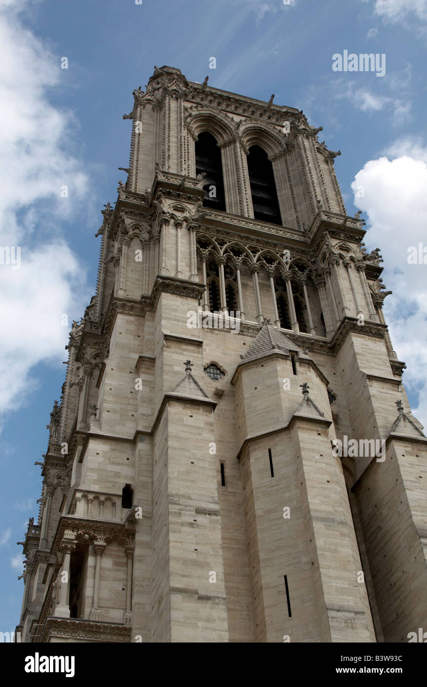 La cathédrale Notre Dame sur l'Île de la Cité à Paris vu de la rive sud de la Seine Banque D'Images