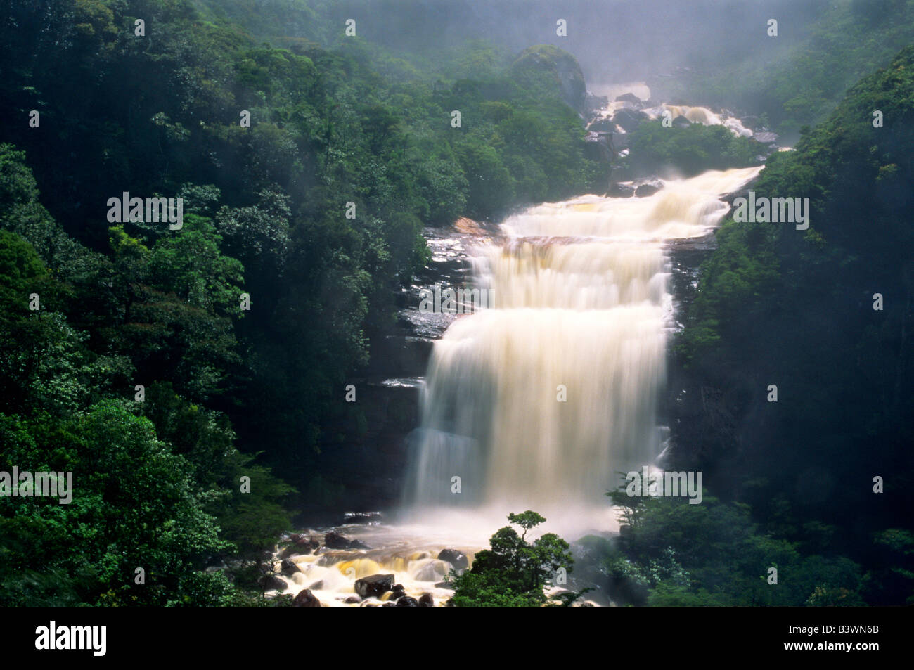 L'Amérique du Sud, Venezuela, Parc national Canaima, Angel Falls. Vue de la base des chutes. Banque D'Images