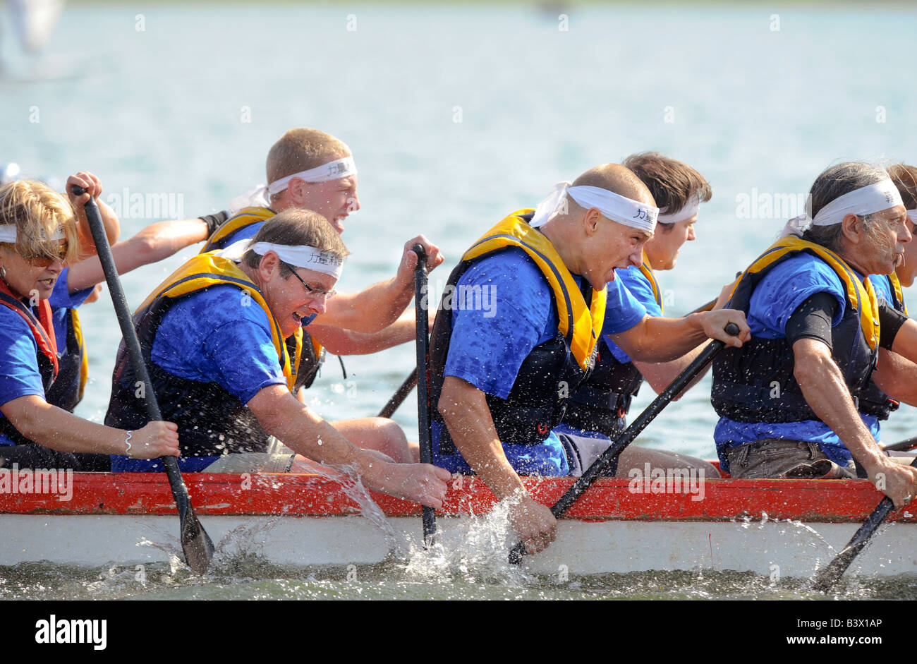 La course de bateaux-dragons sur Bewl Water réservoir : une équipe pagayer furieusement pour essayer de remporter la victoire. Banque D'Images