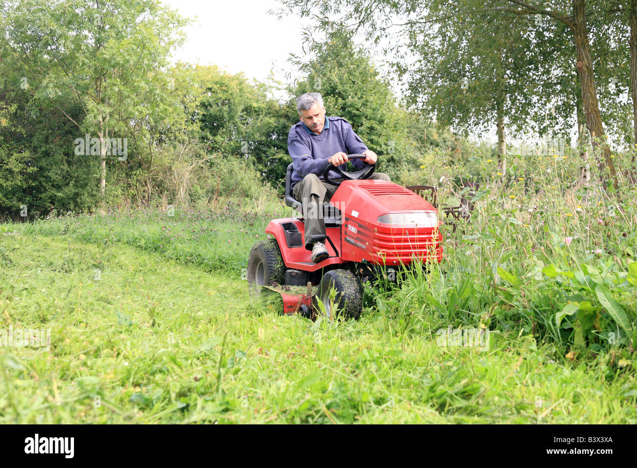 Man mowing lawn sur une tondeuse à Banque D'Images Man mowing lawn sur une tondeuse à Banque D'Images