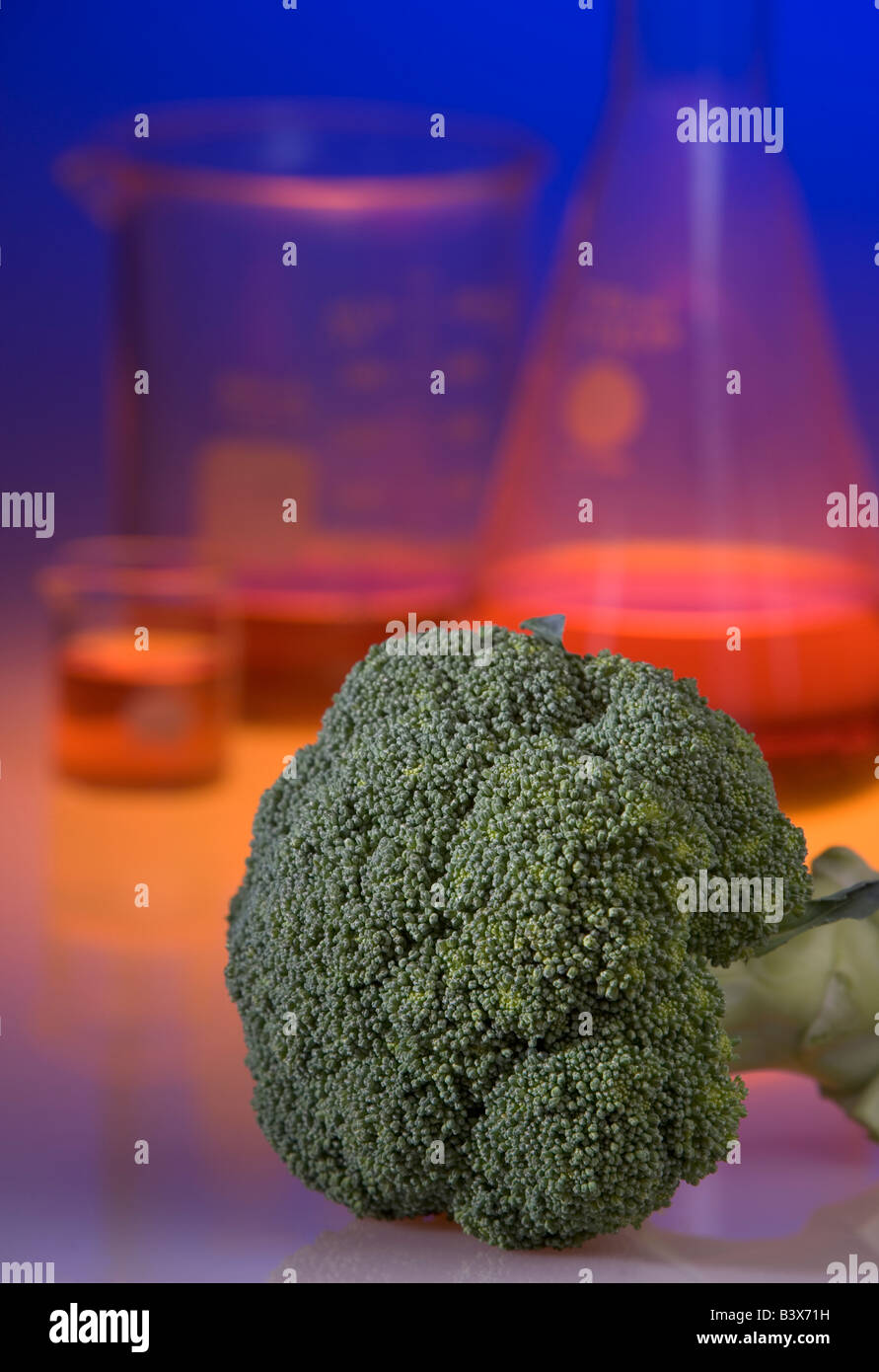 Concept shot démontrant le brocoli génétiquement modifiés, les aliments génétiquement modifiés sont résistantes à la pourriture Banque D'Images