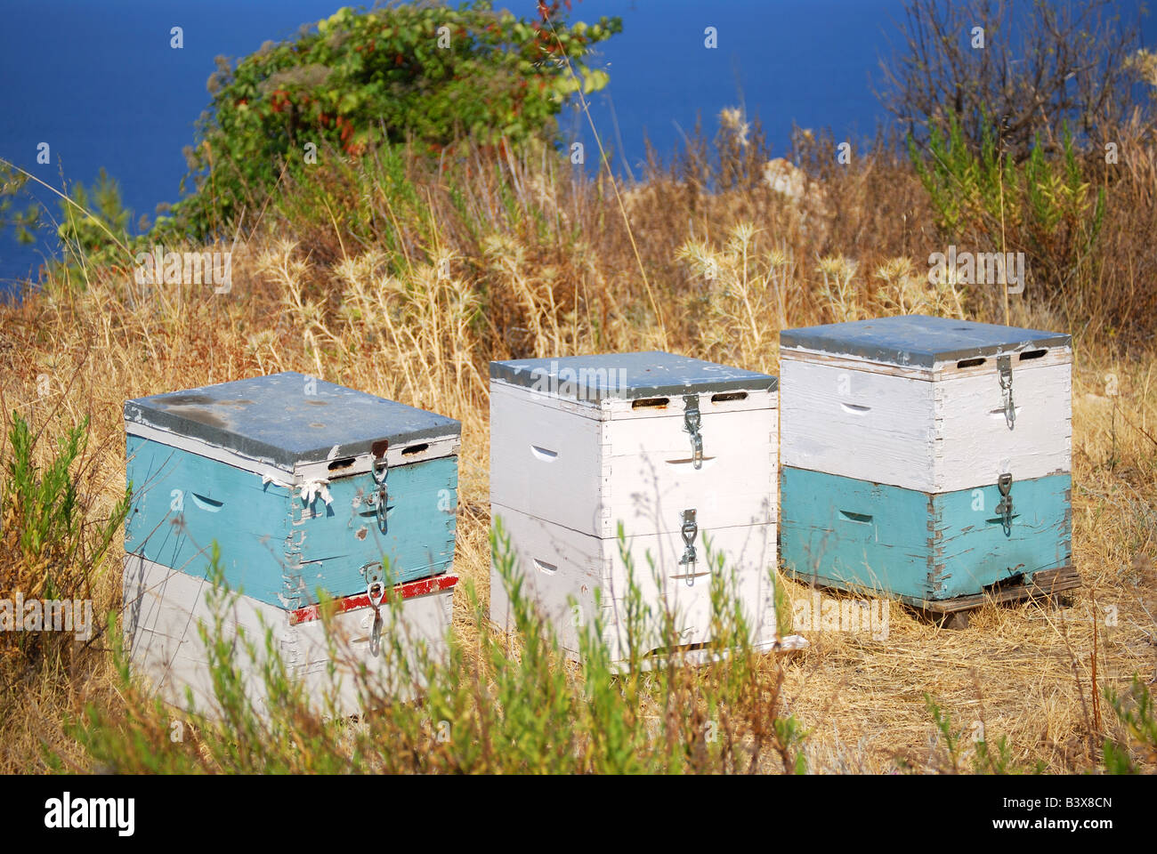 Les ruches, péninsule Sithonia, Halkidiki, Macédoine Centrale, Grèce Banque D'Images