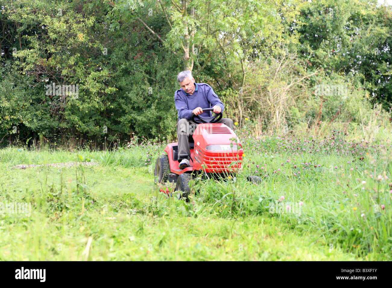 Man mowing lawn sur une tondeuse à Banque D'Images Man mowing lawn sur une tondeuse à Banque D'Images