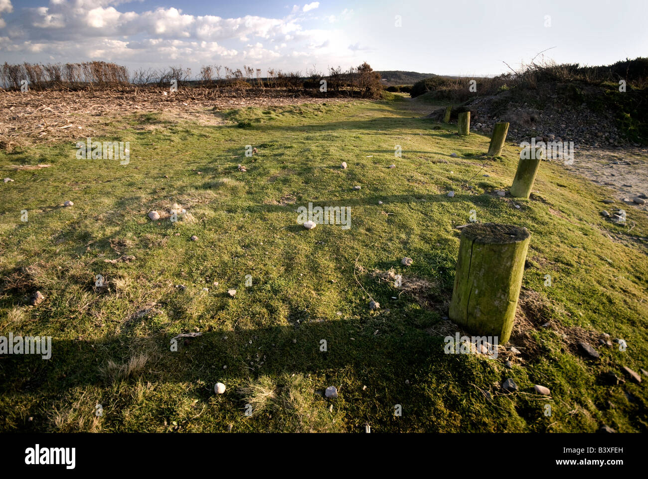 Woodbury Common à Pâques, le Baron Landscape Banque D'Images