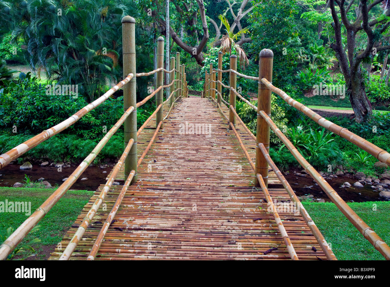 Pont de bambou en National Kauai Hawaii Banque D'Images