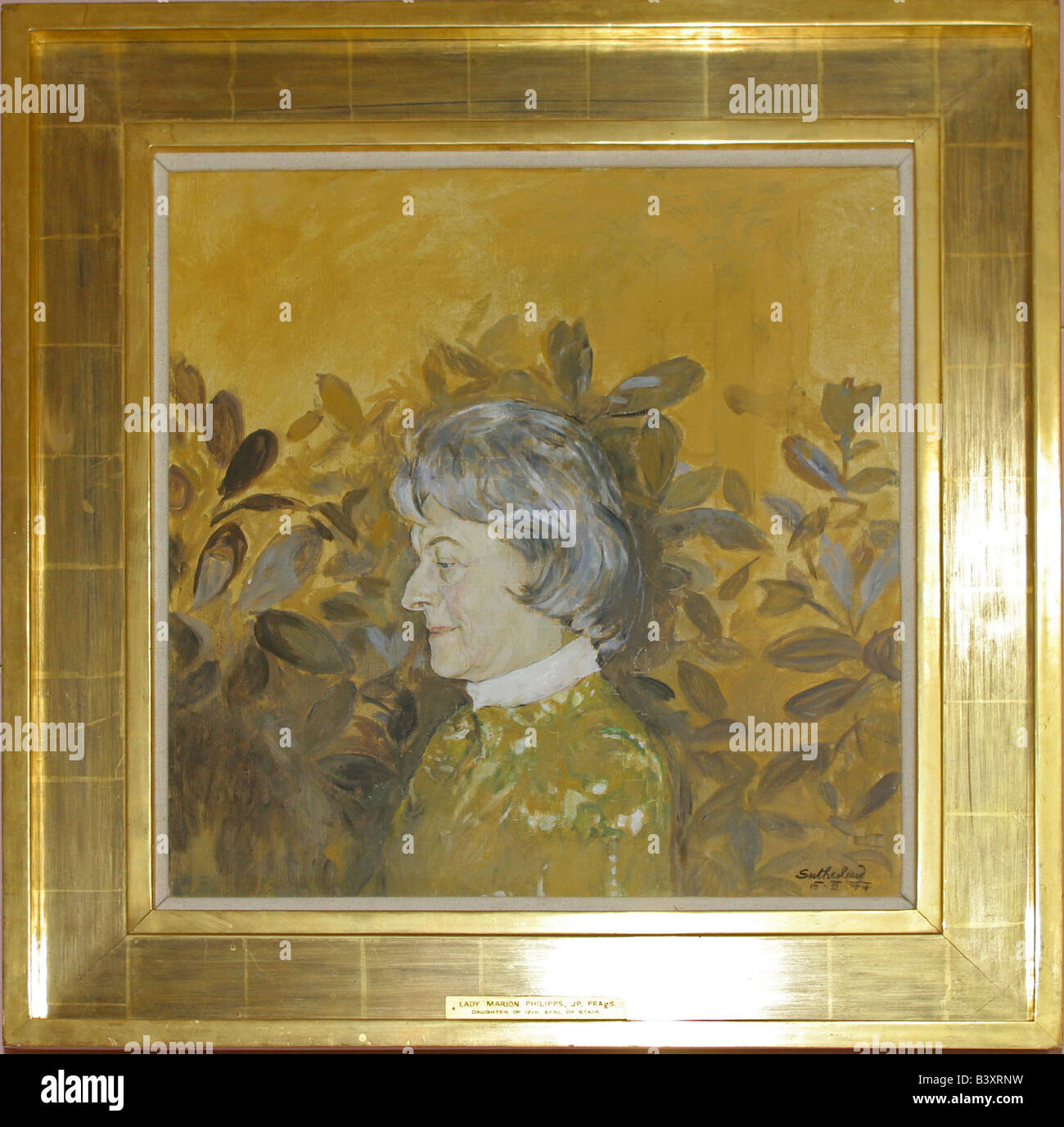 Peinture à l'huile en or image par Graham Sutherland, de Lady Marion Philipps fille de 12e comte de Stair.Square Phillips 20261 Banque D'Images