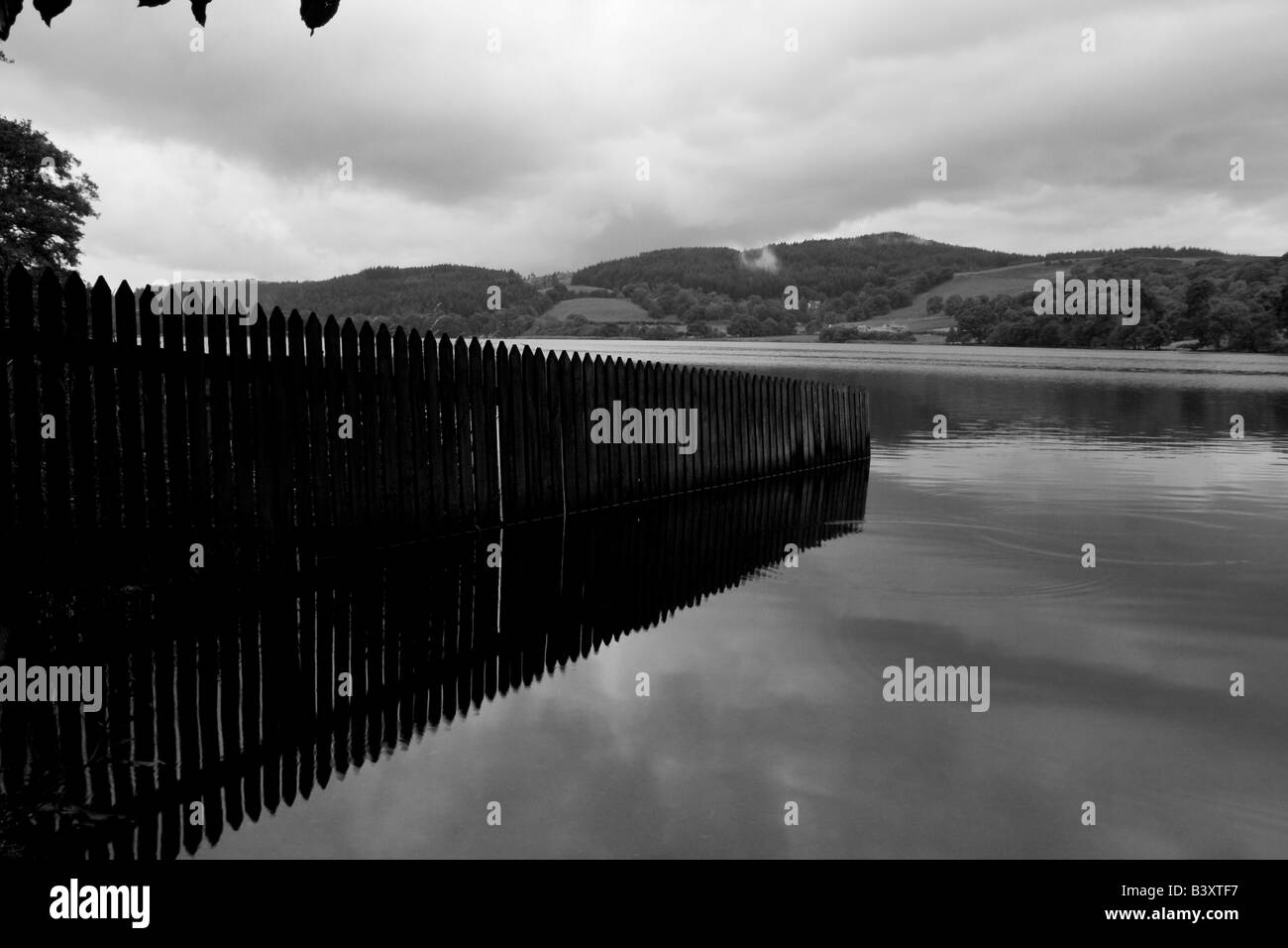 Ligne de clôture en Esthwaite Water, près de Hawkshead, Lake District, Cumbria Banque D'Images