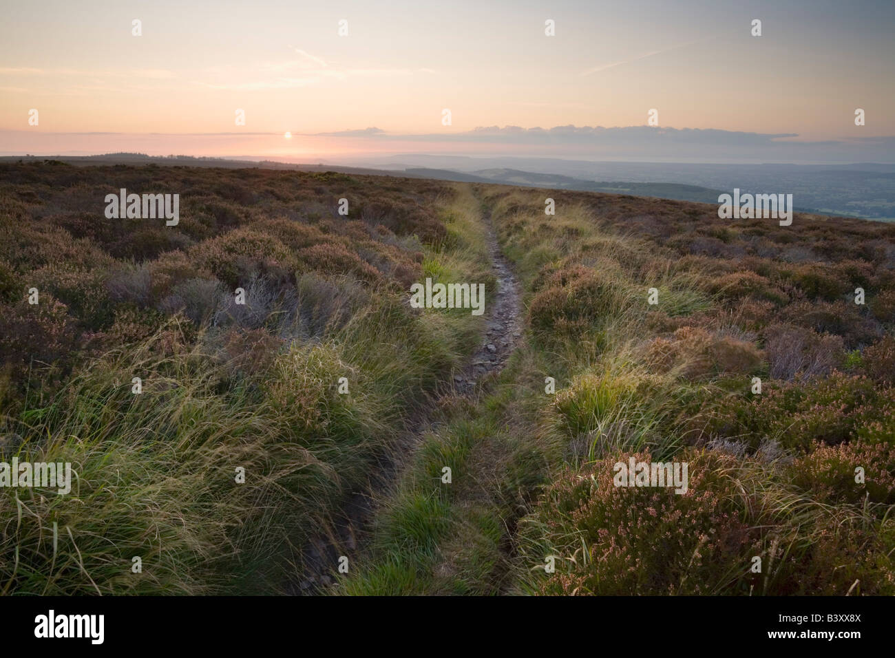 Sur le sentier Mendip Hills au coucher du soleil l'Angleterre Somerset Banque D'Images