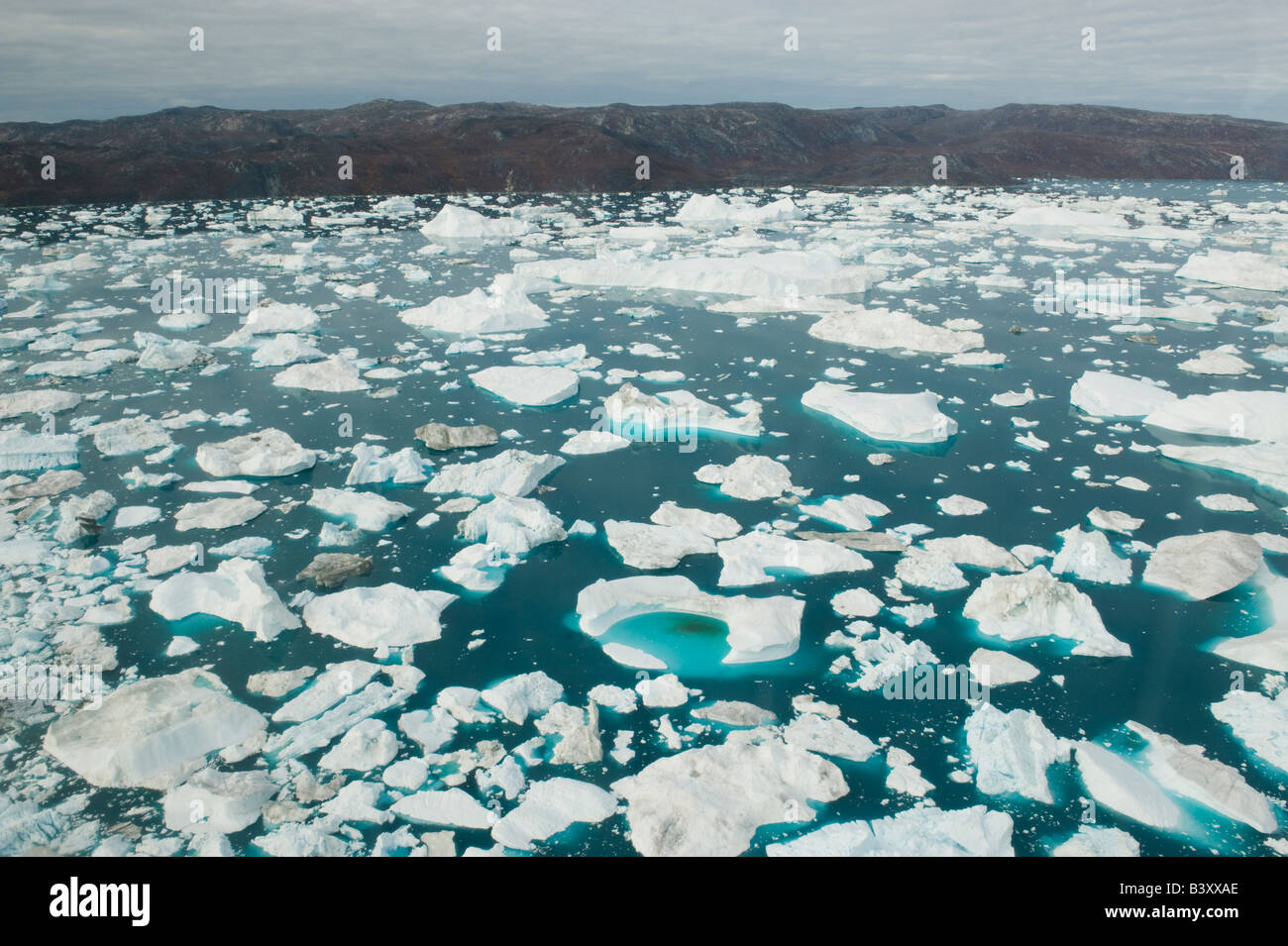 Le Groenland, Illulissat, Jakobshavn (Antenne) d'icebergs le long du bord du fjord, la baie de Disko, à l'été Banque D'Images