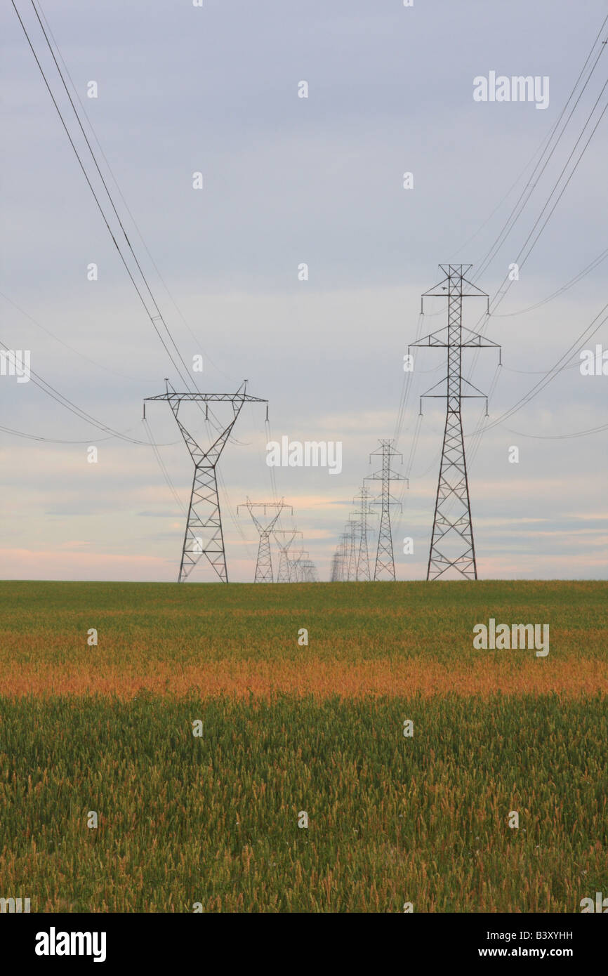 Pylônes électriques haute tension, de Beiseker area, Alberta Photo