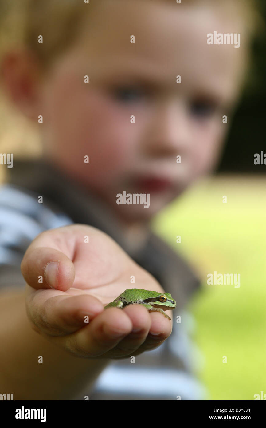 Young boy holding small tree frog Banque D'Images