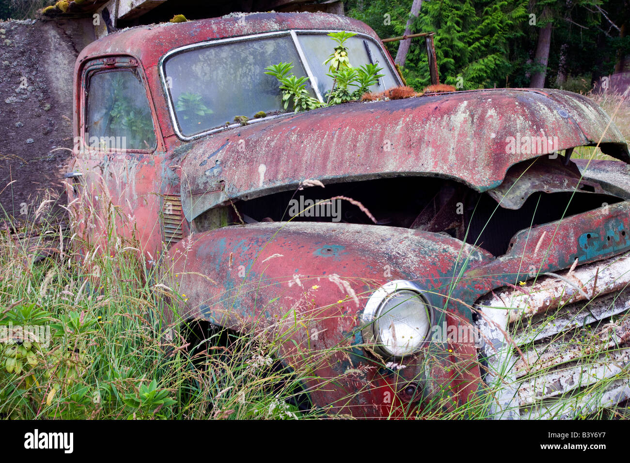 Vieux camion dans le champ près de Sequim Washington Banque D'Images