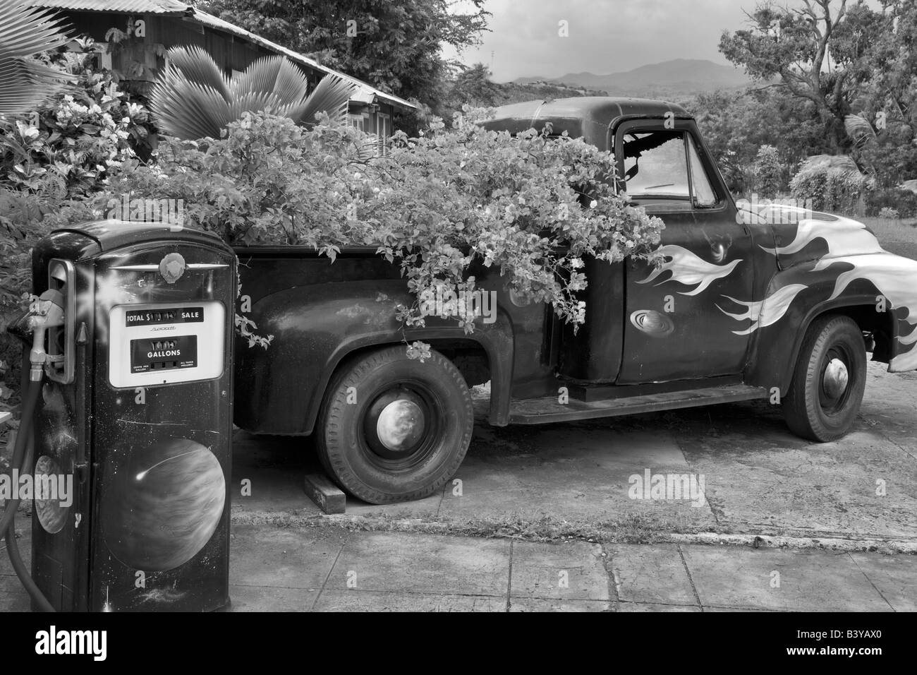 Vieux camion avec fleurs de bougainvilliers au lit Kauai Hawaii Banque D'Images