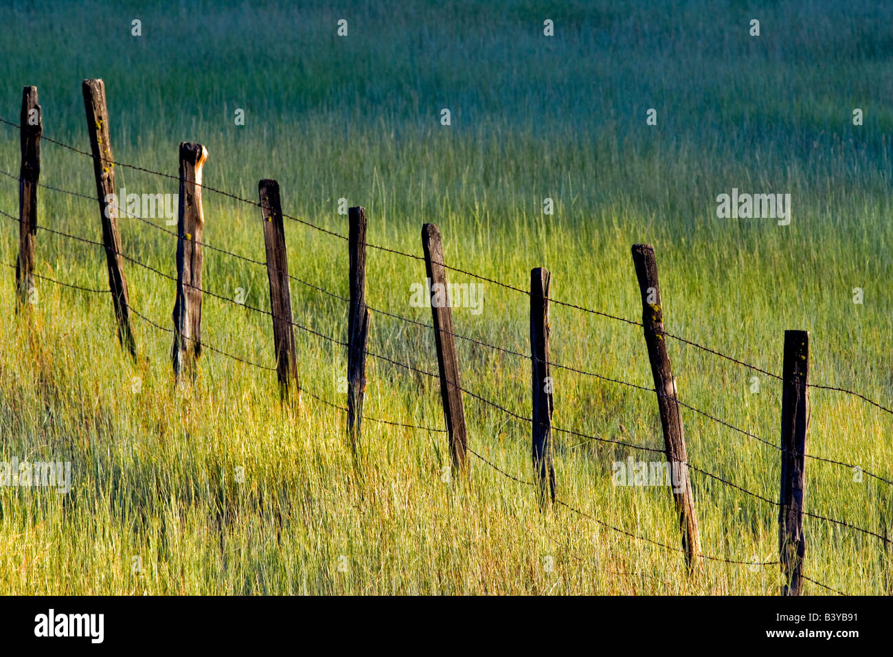 Ligne de clôture dans les hautes herbes près de pâturage à mi-chemin de l'Oregon Banque D'Images