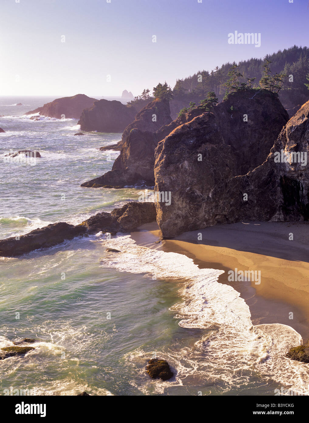 Rivage rocheux à Boardman State Park Oregon Banque D'Images