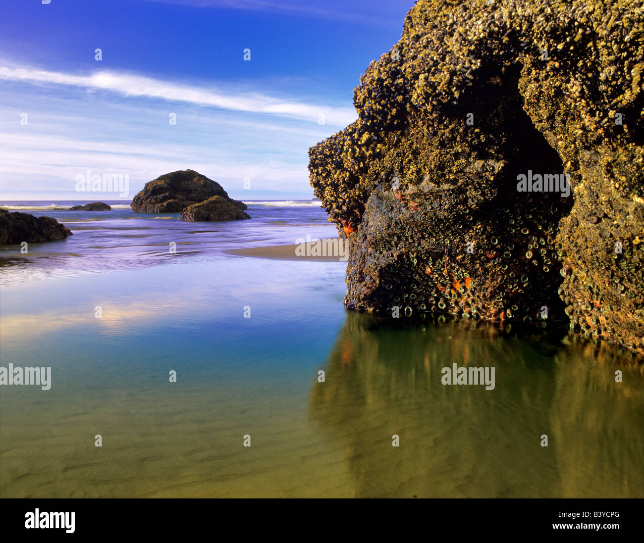 Marée basse et des pierres à Bandon Beach Oregon Banque D'Images