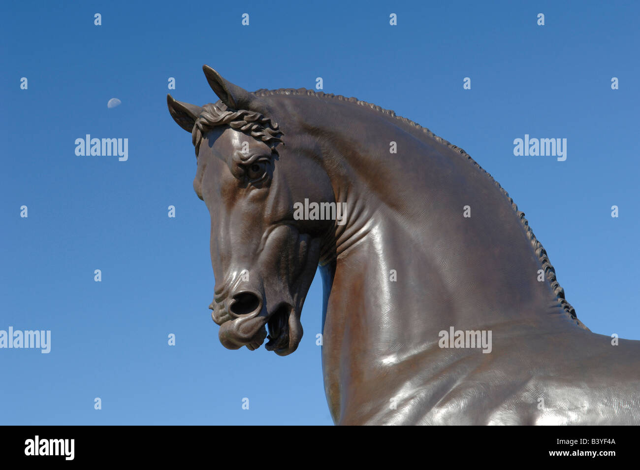 L'American Horse, Frederik Meijer Gardens, de Grand Rapids, Michigan (PR) Banque D'Images