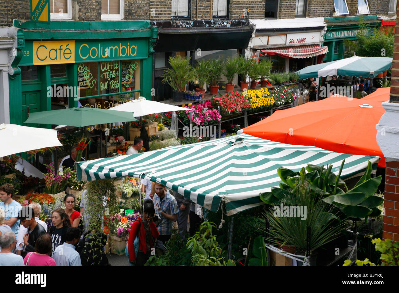 Columbia Road Flower Market, Bethnal Green, Londres Banque D'Images