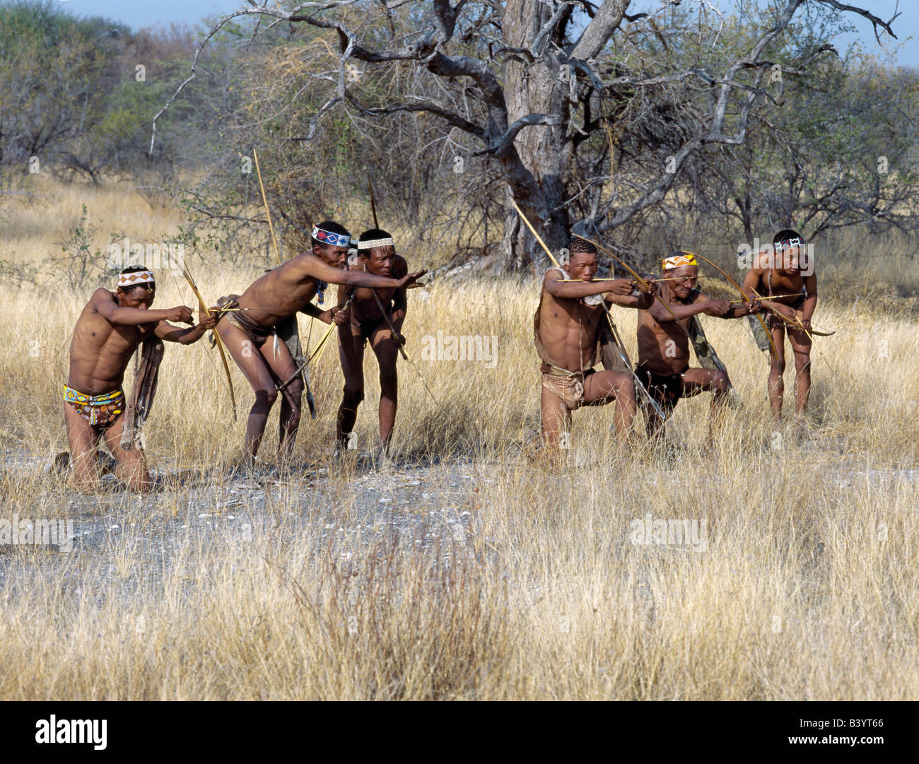 La Namibie, l'Est Bushmanland, Tsumkwe. Une bande de chasseurs-cueilleurs !Kung fait une approche furtive vers une antilope, leur arc Banque D'Images