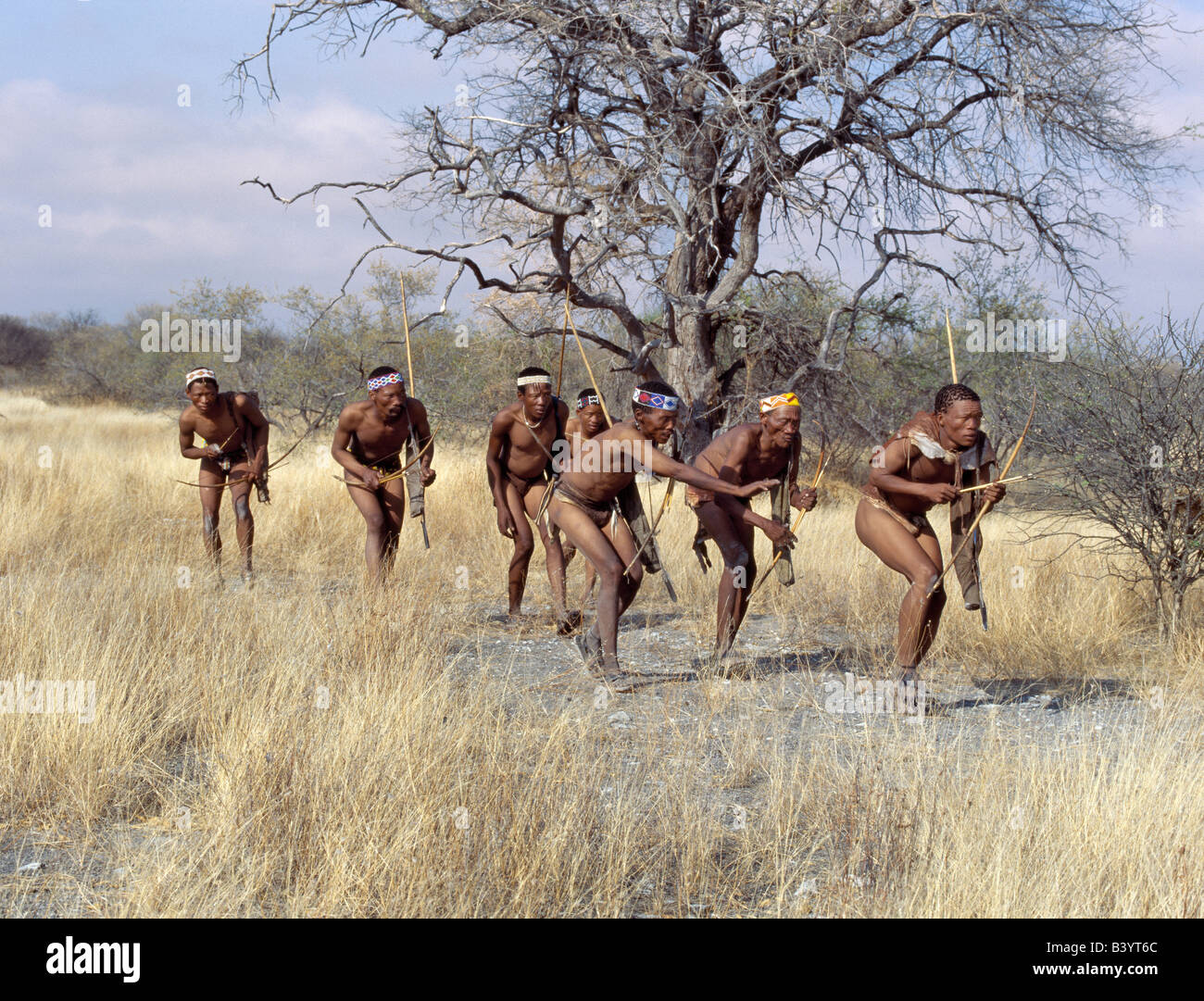 La Namibie, l'Est Bushmanland, Tsumkwe. Une bande de chasseurs-cueilleurs !Kung fait une approche furtive vers une antilope, leur arc Banque D'Images
