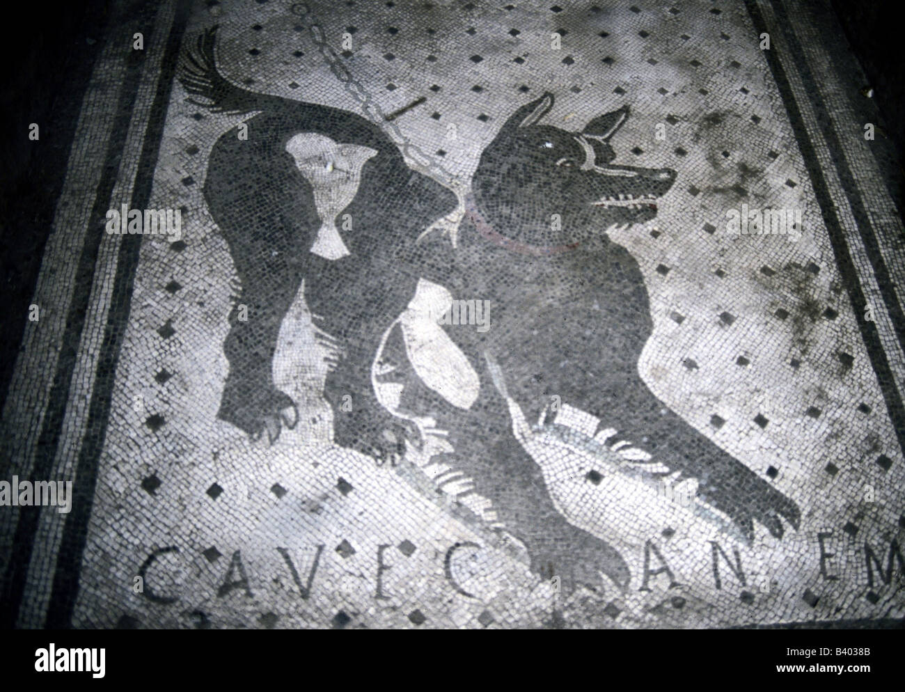 Zoologie / animaux, mammifères / mammifères, chiens, (canis lupus familiaris), chien de garde, 'Cave Canem', ('attention le chien'), mosaïque, Pompéi, 1 e siècle, Banque D'Images