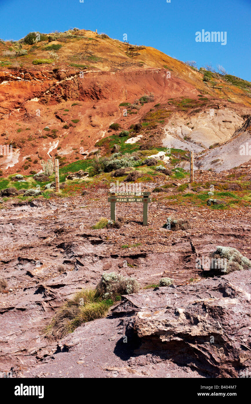 Zone de végétation à Cape Schanck Victoria en Australie. Banque D'Images