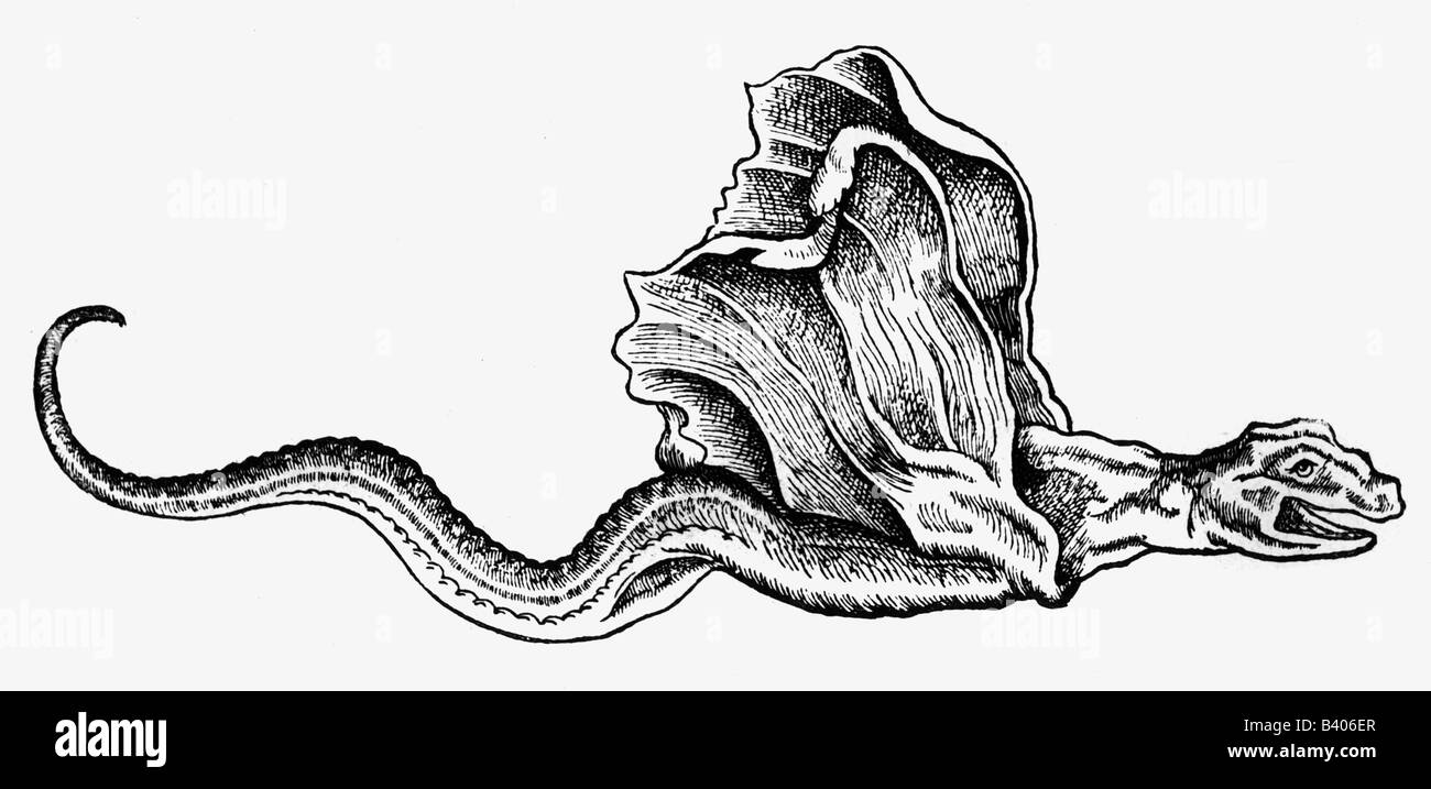 Superstition, créatures mythiques, 'basilisque ou dragon', bowoodcut, 'Historia animalium' de Conrad Gesner, 4ème volume, 'Pisium et aquatilium anirantium natura', 1558, , Banque D'Images