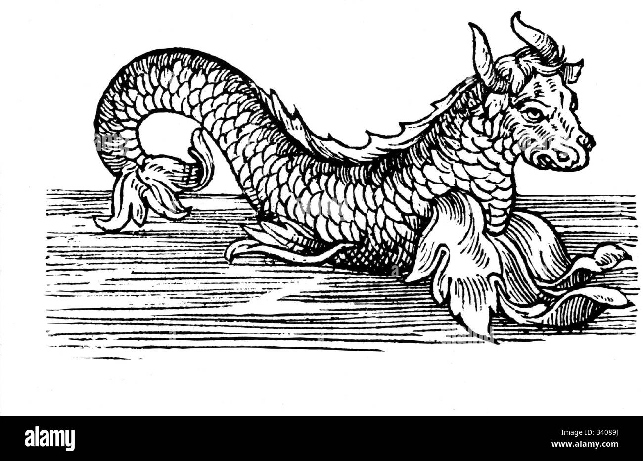 La superstition, des créatures mythiques, mer litzard (FACA), gravure sur bois, 16e siècle, monstre de mer, zoologie, historique, historique, Banque D'Images