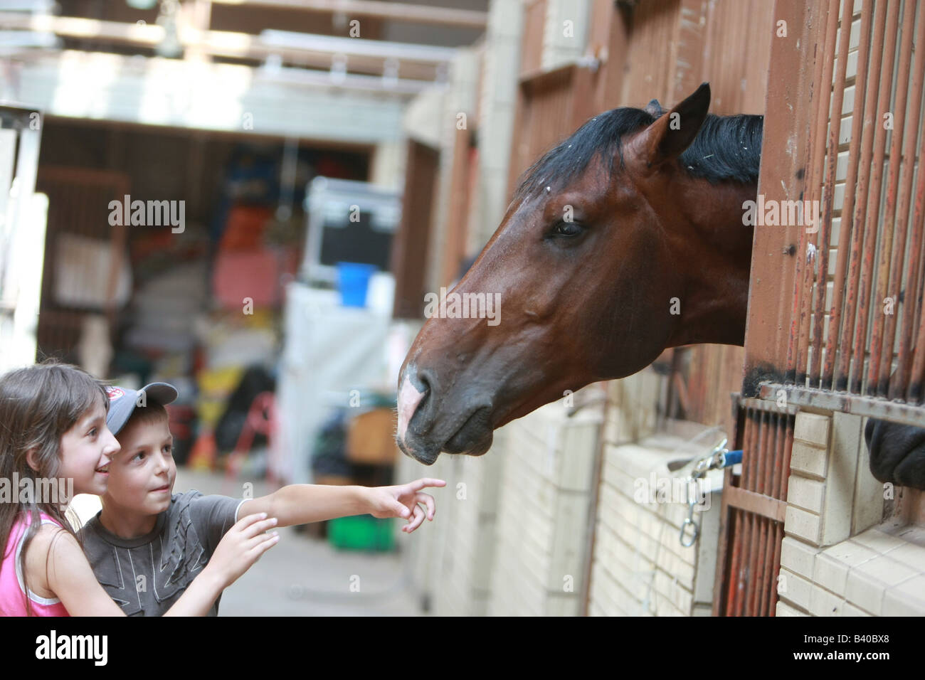 Enfant jouer avec un cheval Banque D'Images