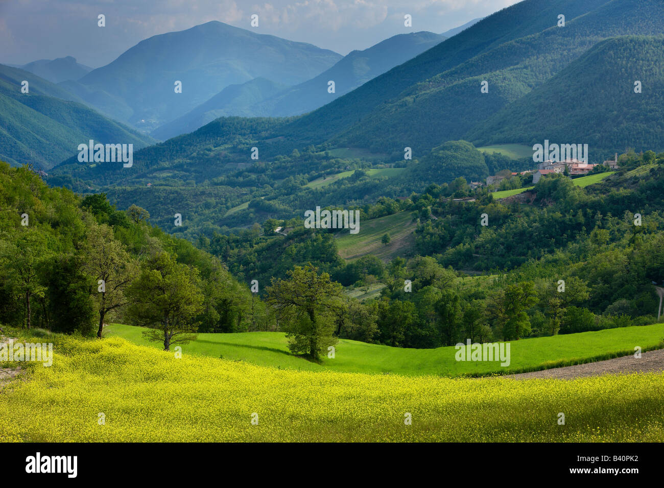 Printemps dans la Valnerina près de Meggiano, Ombrie, Italie Banque D'Images