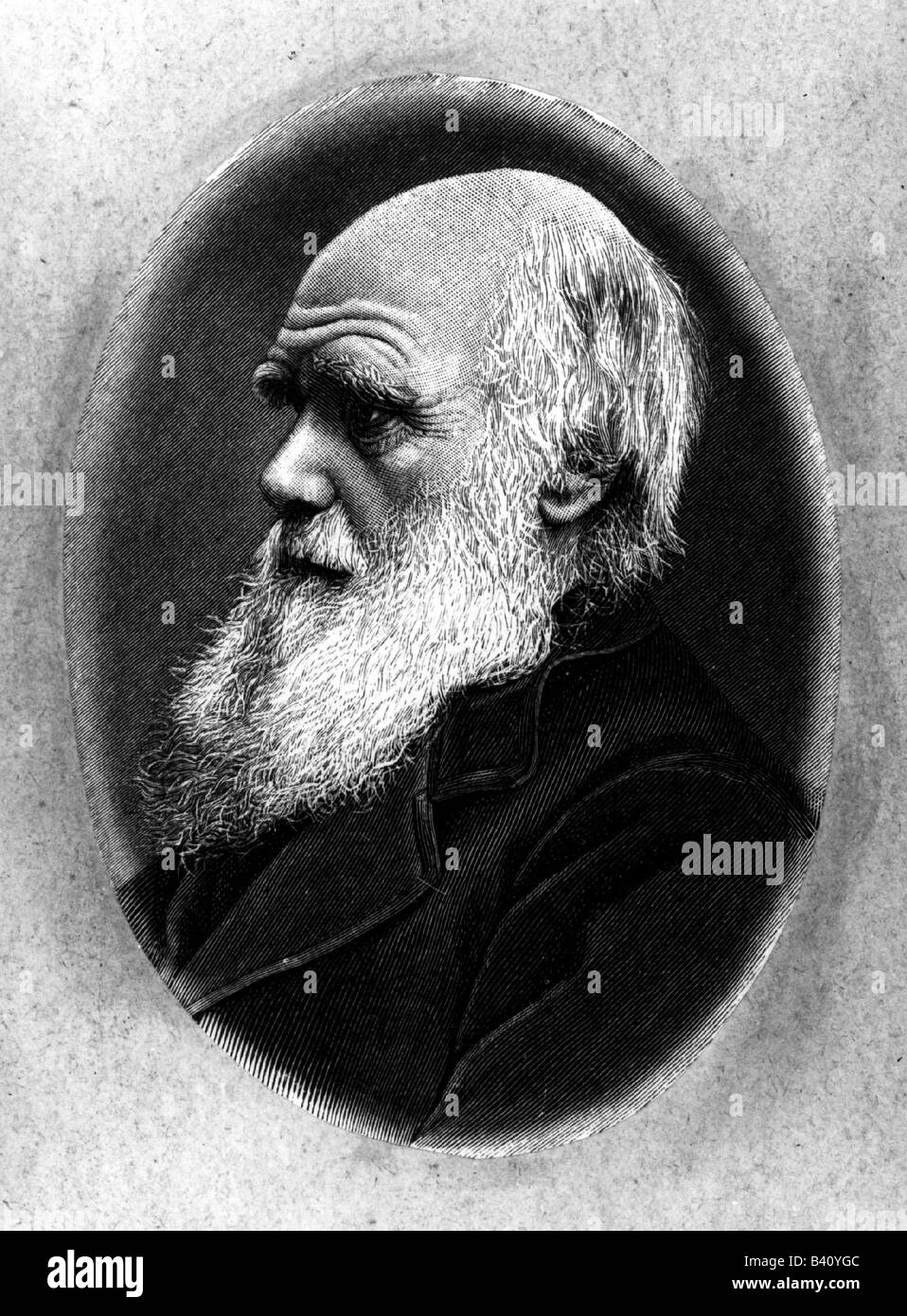 Darwin, Charles Robert, 12.2.1809 - 19.4.1882, naturaliste britannique, portrait, gravure en bois, anonyme, XIXe siècle, Banque D'Images