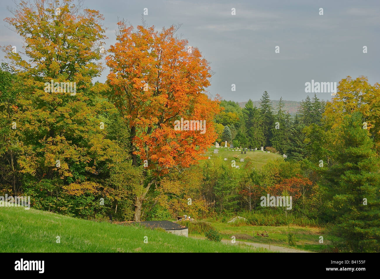 Amérique du Nord, USA, New York, Woodstock. D'une colline à l'automne à la recherche vers un cimetière. Banque D'Images